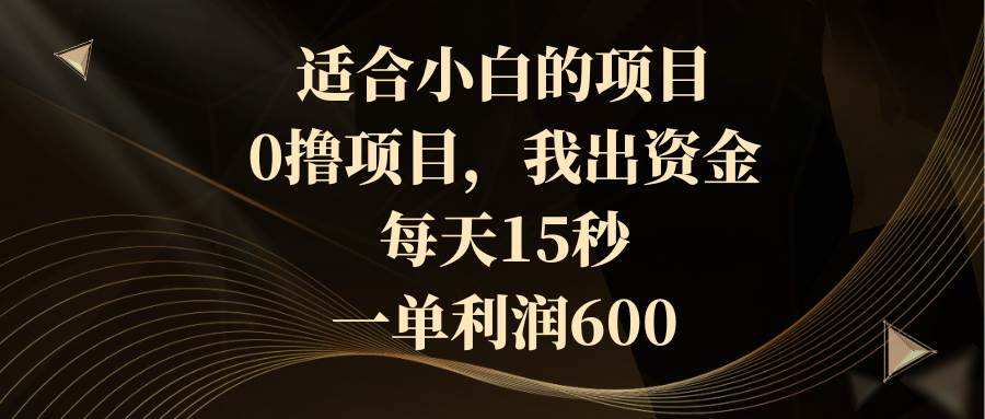 适合小白的项目，0撸项目，我出资金，每天15秒，一单利润600-多米网络