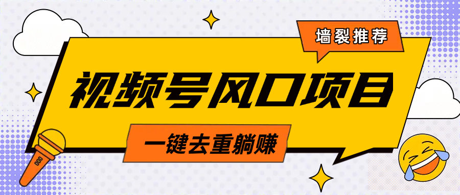 视频号风口蓝海项目，中老年人的流量密码，简单无脑，一键去重，轻松月入过万-多米网络
