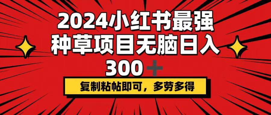 2024小红书最强种草项目，无脑日入300+，复制粘帖即可，多劳多得-多米网络