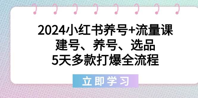 2024小红书养号+流量课：建号、养号、选品，5天多款打爆全流程-多米网络