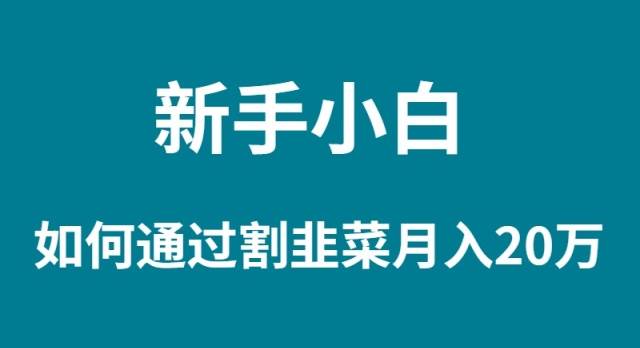新手小白如何通过割韭菜月入 20W-多米网络