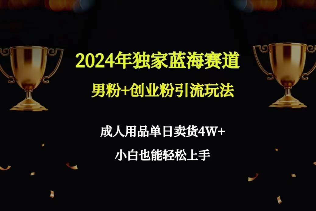 2024年独家蓝海赛道男粉+创业粉引流玩法，成人用品单日卖货4W+保姆教程-多米网络