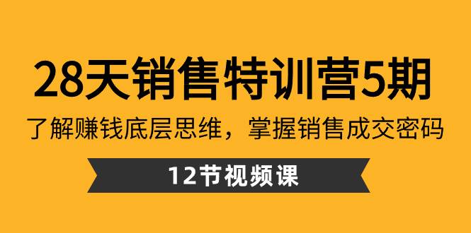 28天·销售特训营5期：了解赚钱底层思维，掌握销售成交密码（12节课）-多米网络