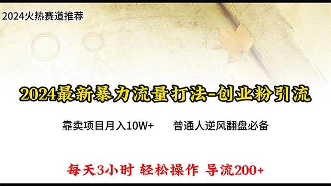 2024年最新暴力流量打法，每日导入300+，靠卖项目月入10W+-多米网络
