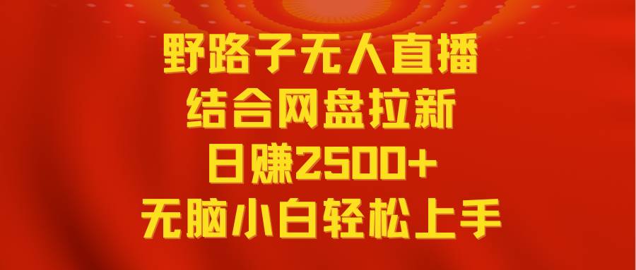 无人直播野路子结合网盘拉新，日赚2500+多平台变现，小白无脑轻松上手操作-多米网络