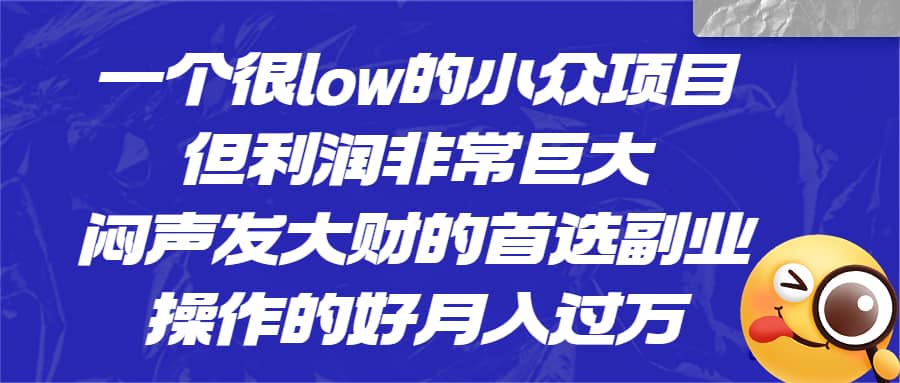 一个很low的小众项目，但利润非常巨大，闷声发大财的首选副业，月入过万-多米网络