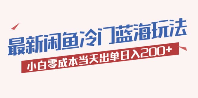 2023最新闲鱼冷门蓝海玩法，小白零成本当天出单日入200+-多米网络