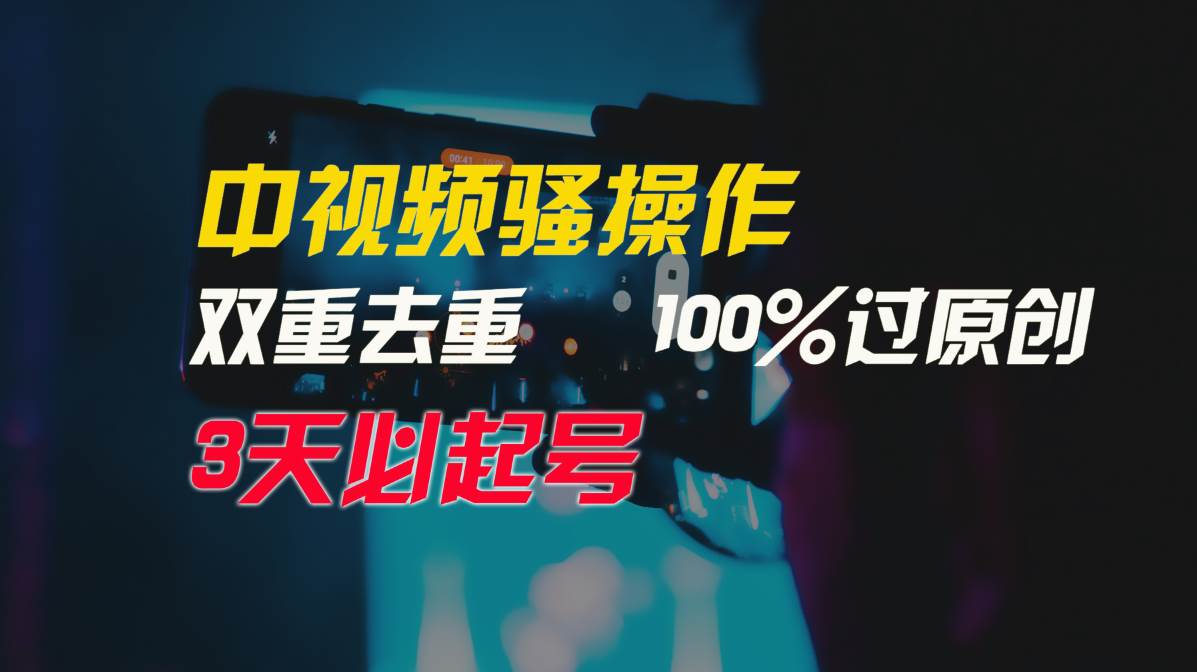 中视频骚操作，双重去重100%过原创，3天比必起号，简单无脑，月入3W+-多米网络