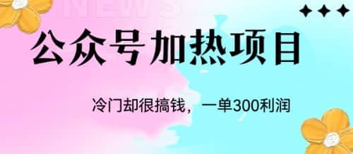 冷门公众号加热项目，一单利润300+-多米网络