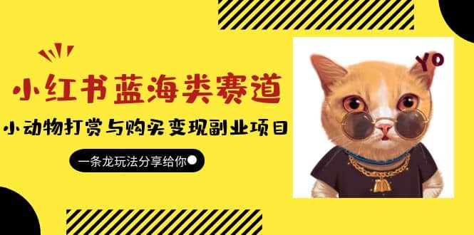 小红书蓝海类赛道：小动物打赏与购买变现副业项目，一条龙玩法分享给你-多米网络