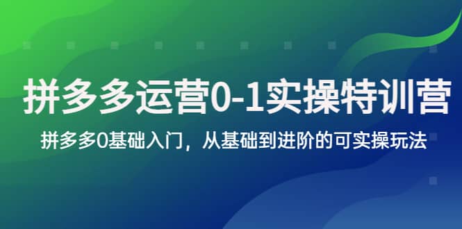 拼多多-运营0-1实操训练营，拼多多0基础入门，从基础到进阶的可实操玩法-多米网络