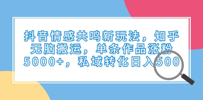 抖音情感共鸣新玩法，知乎无脑搬运，单条作品涨粉5000+，私域转化日入500-多米网络