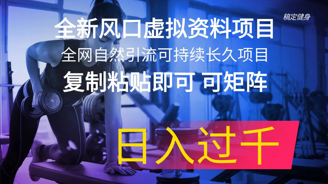 全新风口虚拟资料项目 全网自然引流可持续长久项目 复制粘贴即可可矩阵…-多米网络