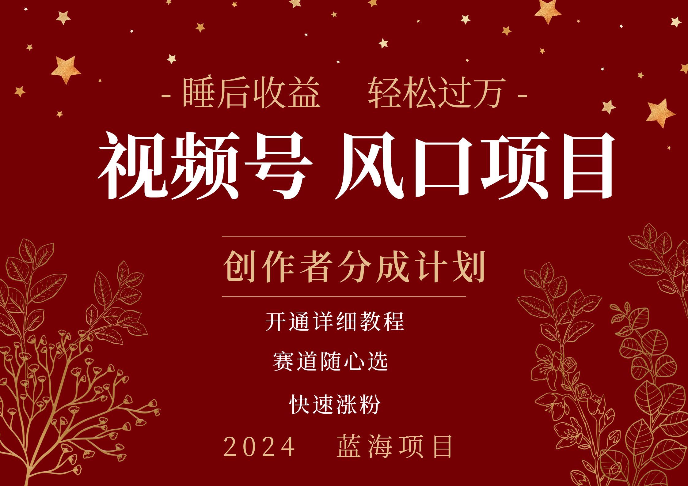 拥有睡眠收益的微信视频号大风口项目，轻松月入过万+，多赛道选择，可矩阵，玩法简单轻松上手-多米网络