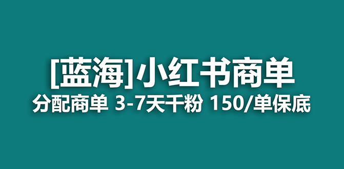 2023蓝海项目，小红书商单，快速千粉，长期稳定，最强蓝海没有之一-多米网络