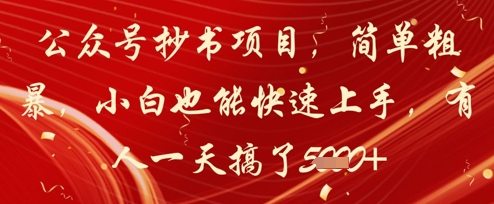 公众号抄书项目，简单粗暴，小白也能快速上手，有人一天搞了1k+-多米网络