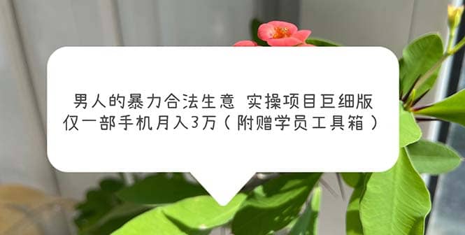 男人的暴力合法生意实操项目巨细版：仅一部手机月入3w（附赠学员工具箱）-多米网络