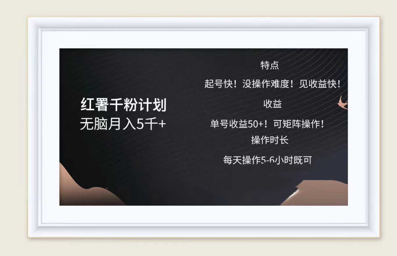 红薯千粉计划无脑月入5千！既做既赚！-多米网络