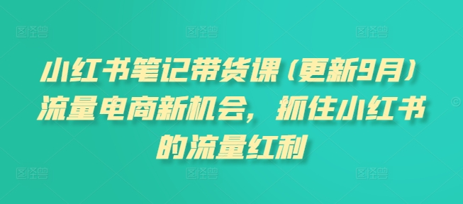 小红书笔记带货课(更新25年4月)流量电商新机会，抓住小红书的流量红利-多米网络