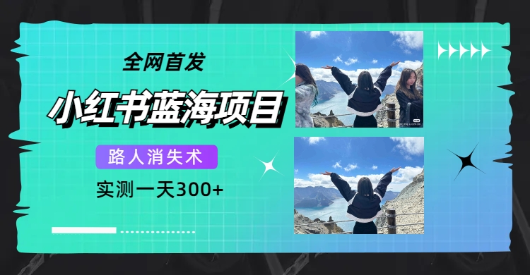 全网首发，小红书蓝海项目，路人消失术，实测一天300+（教程+工具）-多米网络