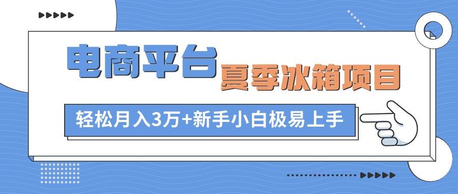 电商平台夏季冰箱项目，轻松月入3万+，新手小白极易上手-多米网络