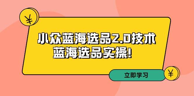 拼多多培训第33期：小众蓝海选品2.0技术-蓝海选品实操！-多米网络