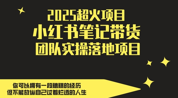 2025超火项目，副业最佳选择，小红书笔记带货团队实操落地项目，，轻松日入5张-多米网络