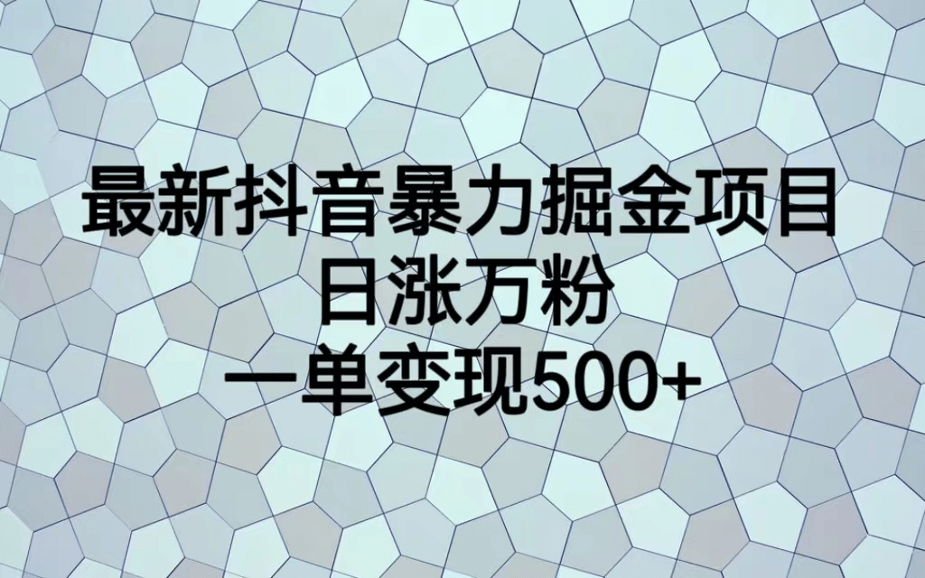最火热的抖音暴力掘金项目，日涨万粉，多种变现方式，一单变现可达500+-多米网络