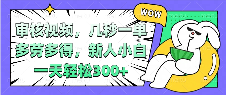 视频审核项目，几秒一单，多劳多得，新人小白一天轻松300+-多米网络
