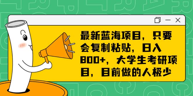 最新蓝海项目，只要会复制粘贴，日入800+，大学生考研项目，目前做的人极少-多米网络