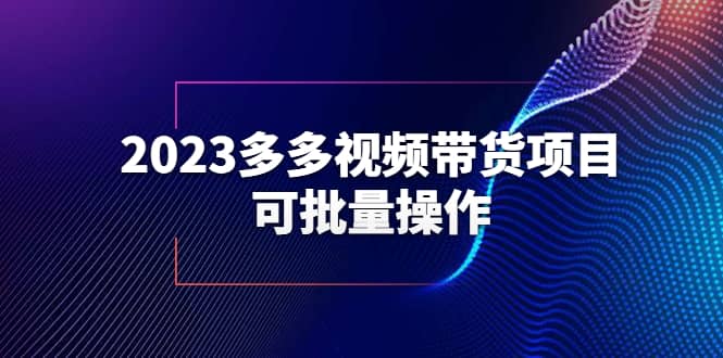 2023多多视频带货项目，可批量操作【保姆级教学】-多米网络