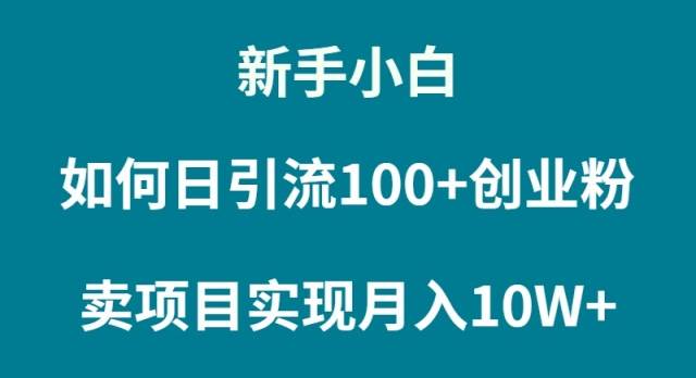 新手小白如何通过卖项目实现月入10W+-多米网络