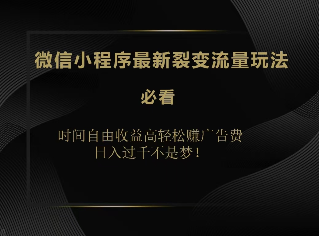 微信小程序最新裂变流量玩法，时间自由收益高轻松赚广告费，日入200-500+-多米网络