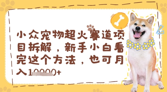 小众宠物超火赛道项目拆解，新手小白看完这个方法，也可月入过w-多米网络