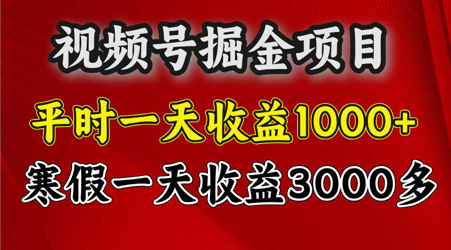 视频号掘金项目，寒假一天收益3000多-多米网络