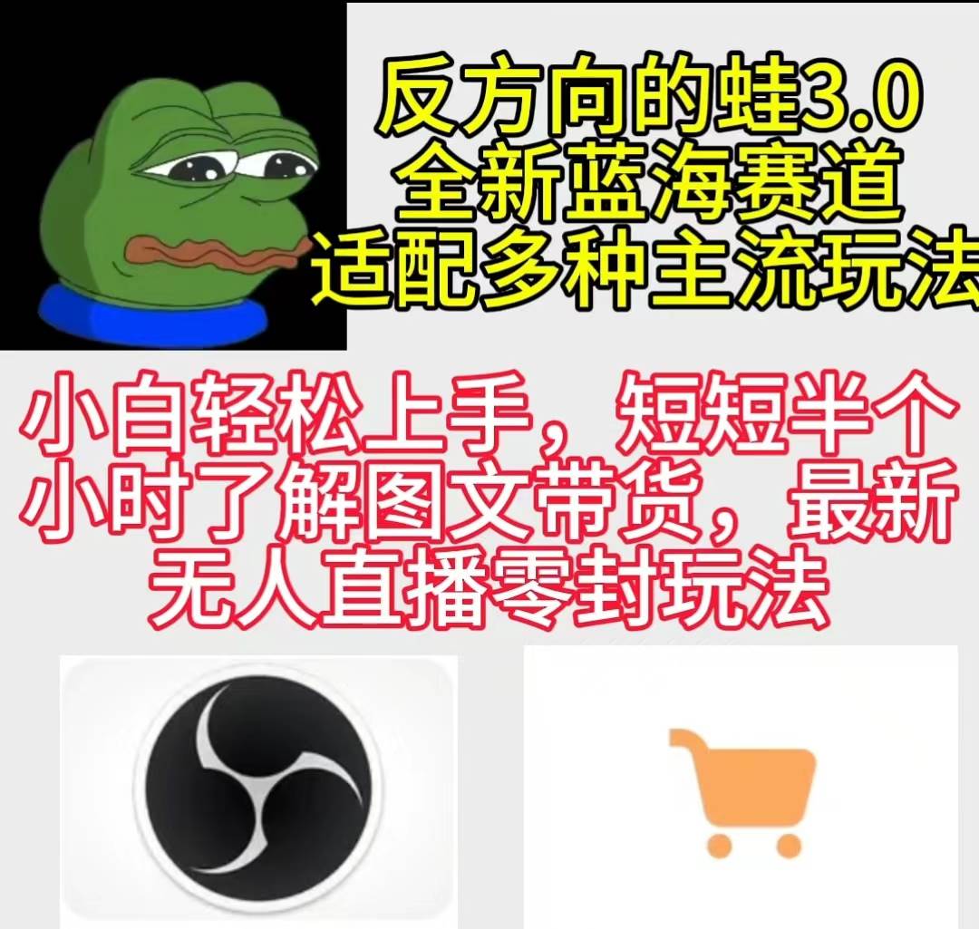 反方向的蛙3.0，图文最新玩法，变现多元化，新蓝海项目，小白轻松上手-多米网络