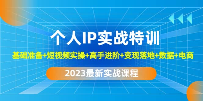 2023个人IP实战特训：基础准备+短视频实操+高手进阶+变现落地+数据+电商-多米网络