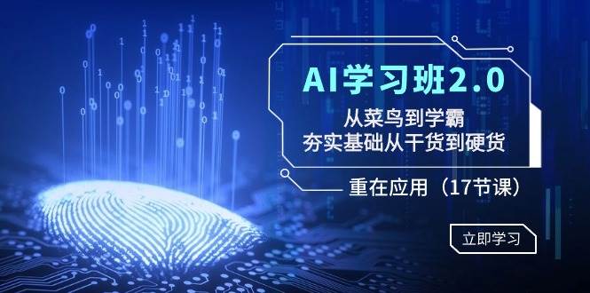 AI学习班2.0：从菜鸟到学霸，夯实基础从干货到硬货，重在应用（17节课）-多米网络