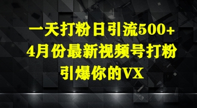 一天打粉日引流500+，4月份最新视频号打粉，引爆你的微信-多米网络