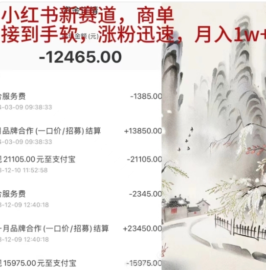 小红书新赛道，商单接到手软，涨粉迅速，一个月1w+-多米网络