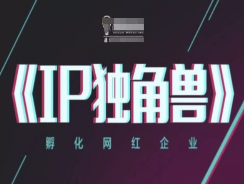 IP独角兽，孵化网红企业，ip教程-多米网络