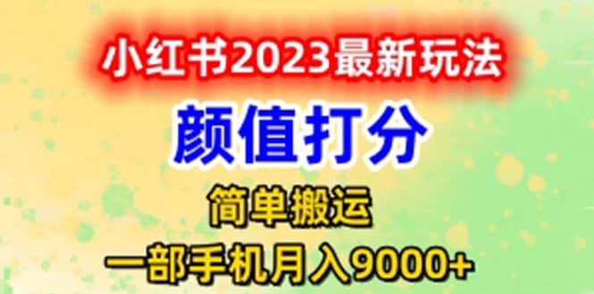 最新小红书颜值打分玩法，日入300+闭环玩法-多米网络