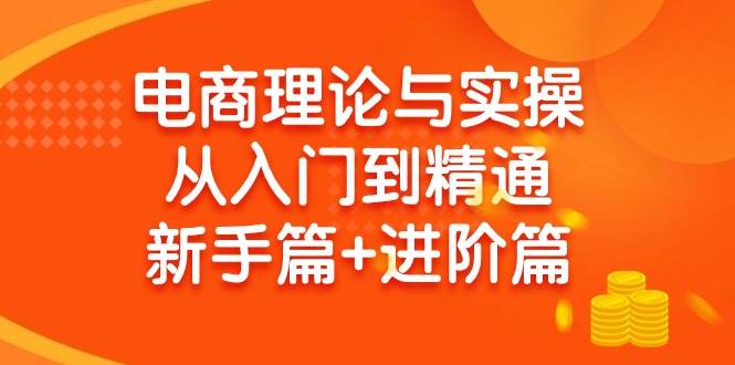 电商理论与实操从入门到精通 新手篇+进阶篇-多米网络
