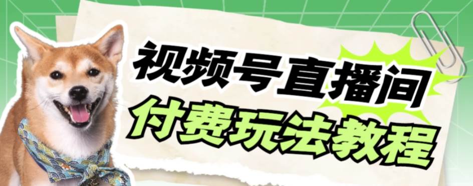 视频号美女付费无人直播，轻松日入500+【详细玩-多米网络
