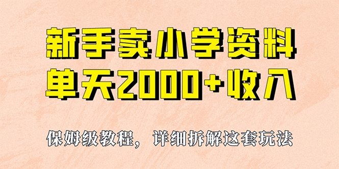我如何通过卖小学资料，实现单天2000+，实操项目，保姆级教程+资料+工具-多米网络