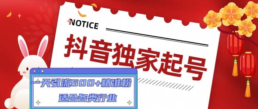 抖音独家起号，适合各类行业（9节视频课）-多米网络