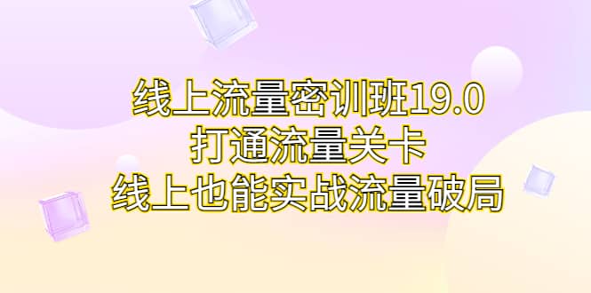 线上流量密训班19.0，打通流量关卡，线上也能实战流量破局-多米网络