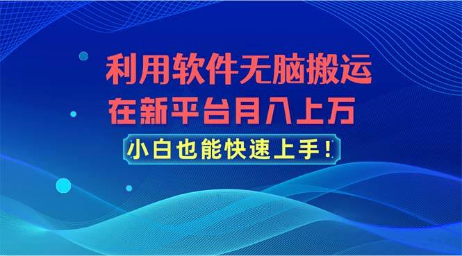 利用软件无脑搬运，在新平台月入上万，小白也能快速上手-多米网络