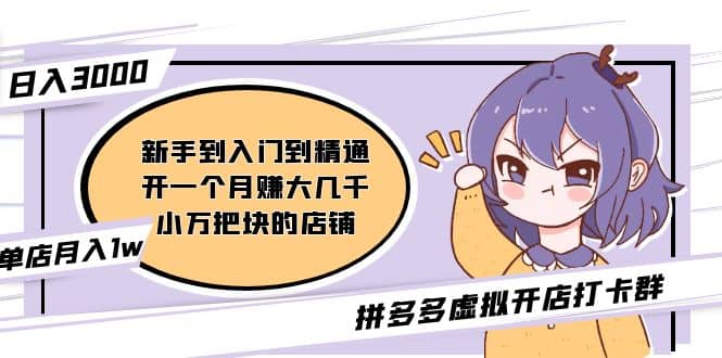 拼多多虚拟开店打卡群：新手到入门到精通-多米网络