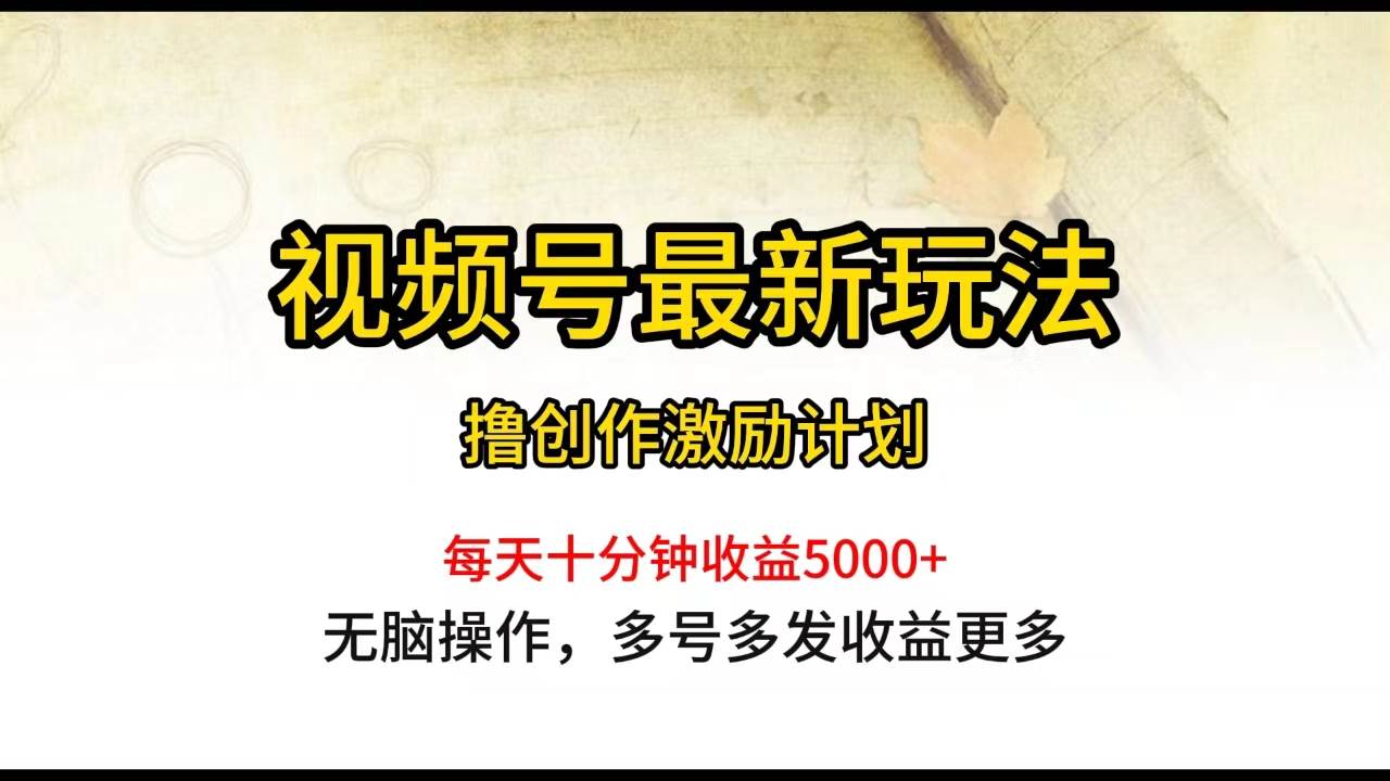 视频号最新玩法，每日一小时月入5000+-多米网络